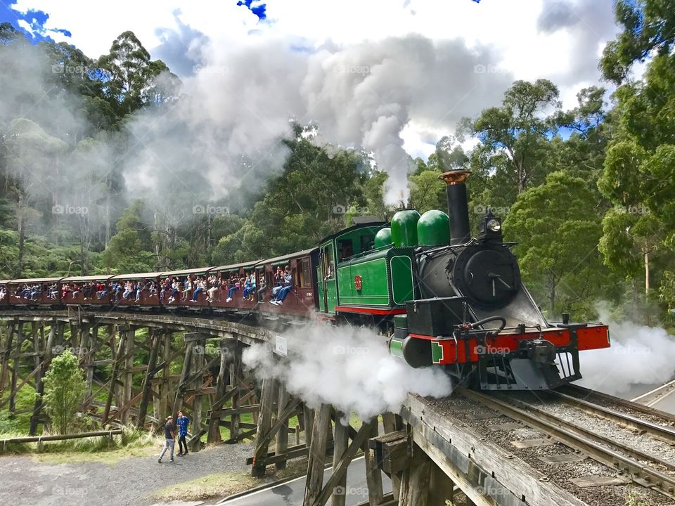 Old steam train traveling over an old trestle bridge in the Dandenong Ranges, Victoria Australia 