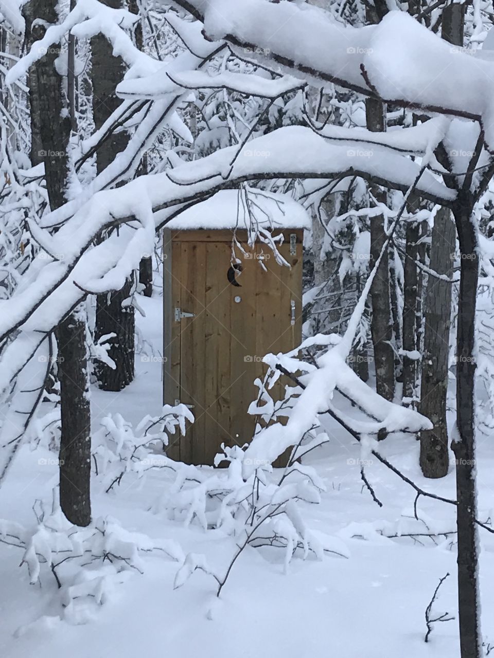 The smokehouse in the white winter woods 