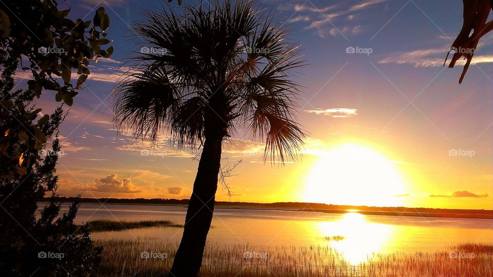 pinckney island sunrise