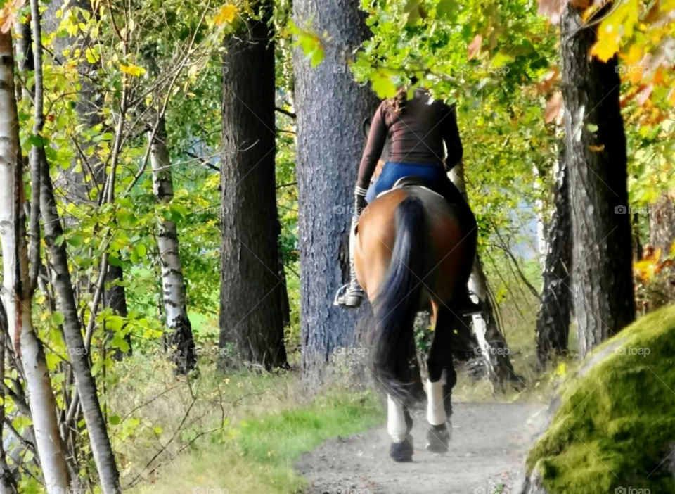 Horse riding in the forrest