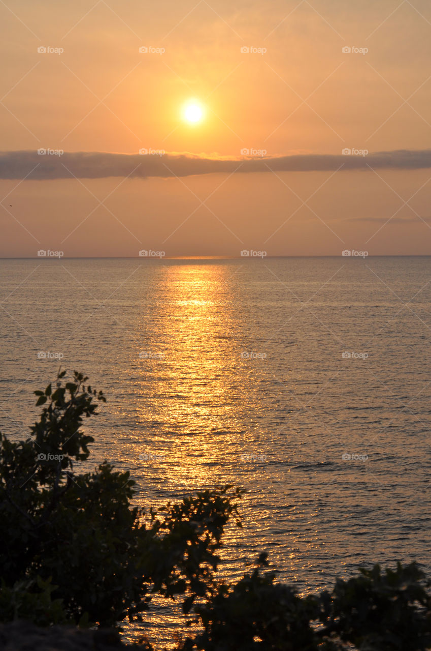 Silhouette of tree during sunset