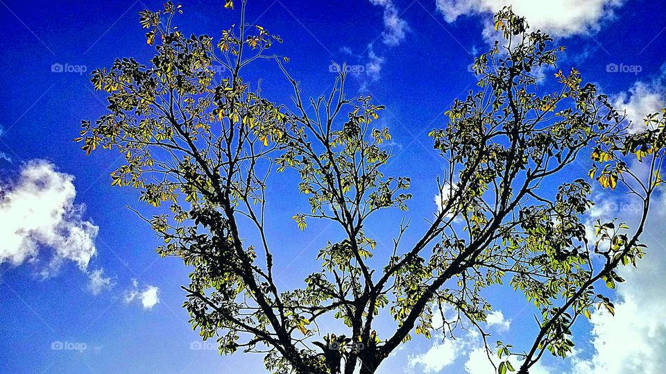 Edson Nilsen 👣 🇬‌🇪‌🇳‌🇹‌🇪‌ 🇲‌🇪‌ 👣 🇸‌🇪‌🇬‌🇺‌🇪‌👣 🇵‌🇴‌🇷‌ 🇫‌🇦‌🇻‌🇴‌🇷‌  👣 ‌👣