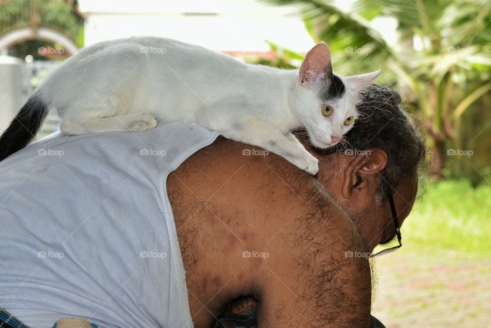 cutest pets in the world