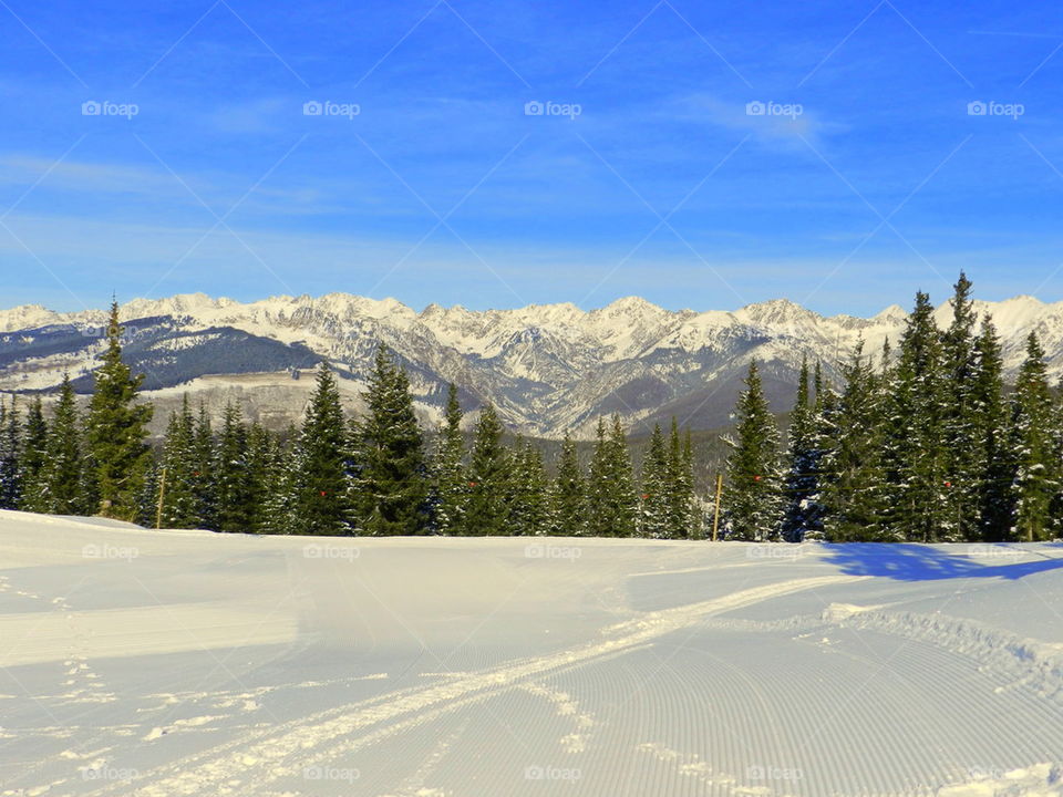 Landscape view in winter