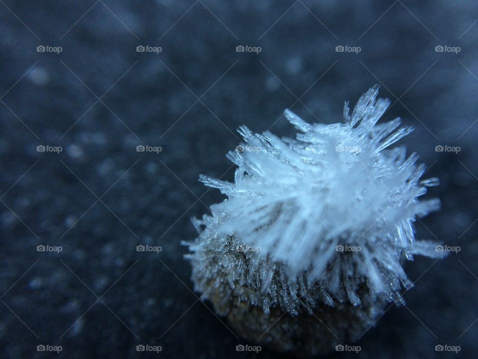 Extreme close-up of frozen moss