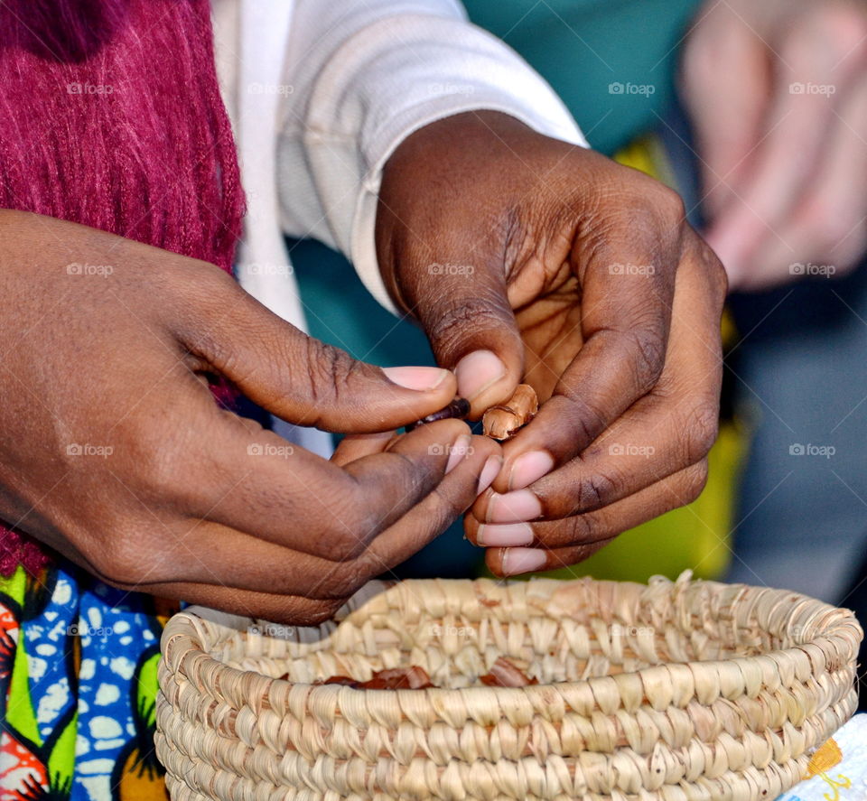 Person's hand holding cocoa beans