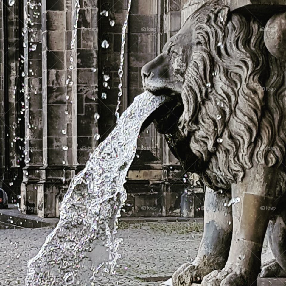 Springbrunnen Köln Dom