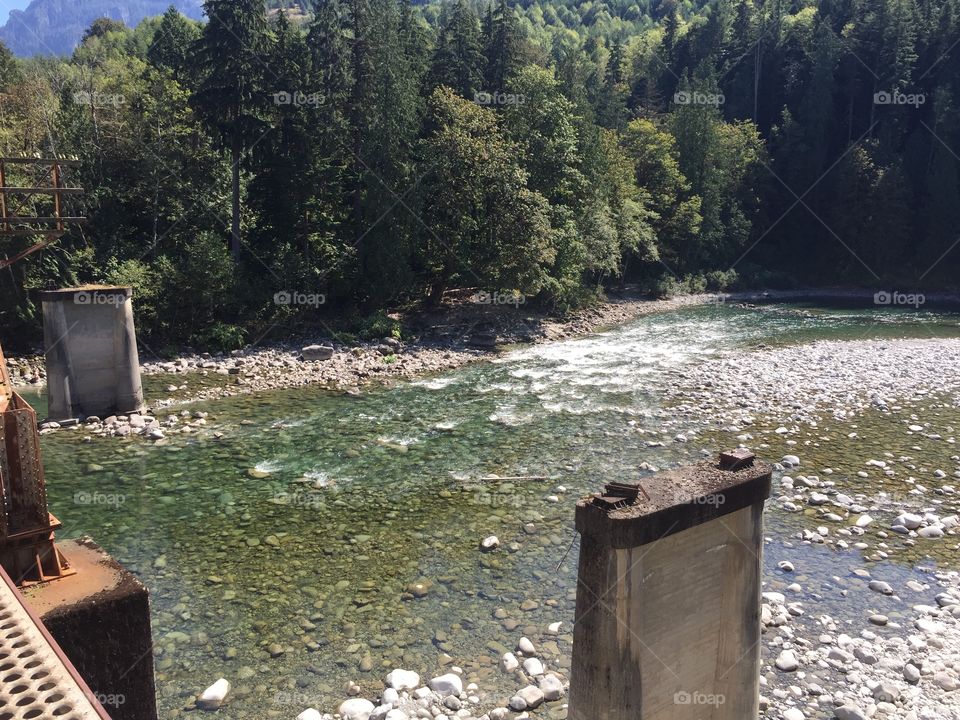 Water, No Person, Tree, Wood, Landscape