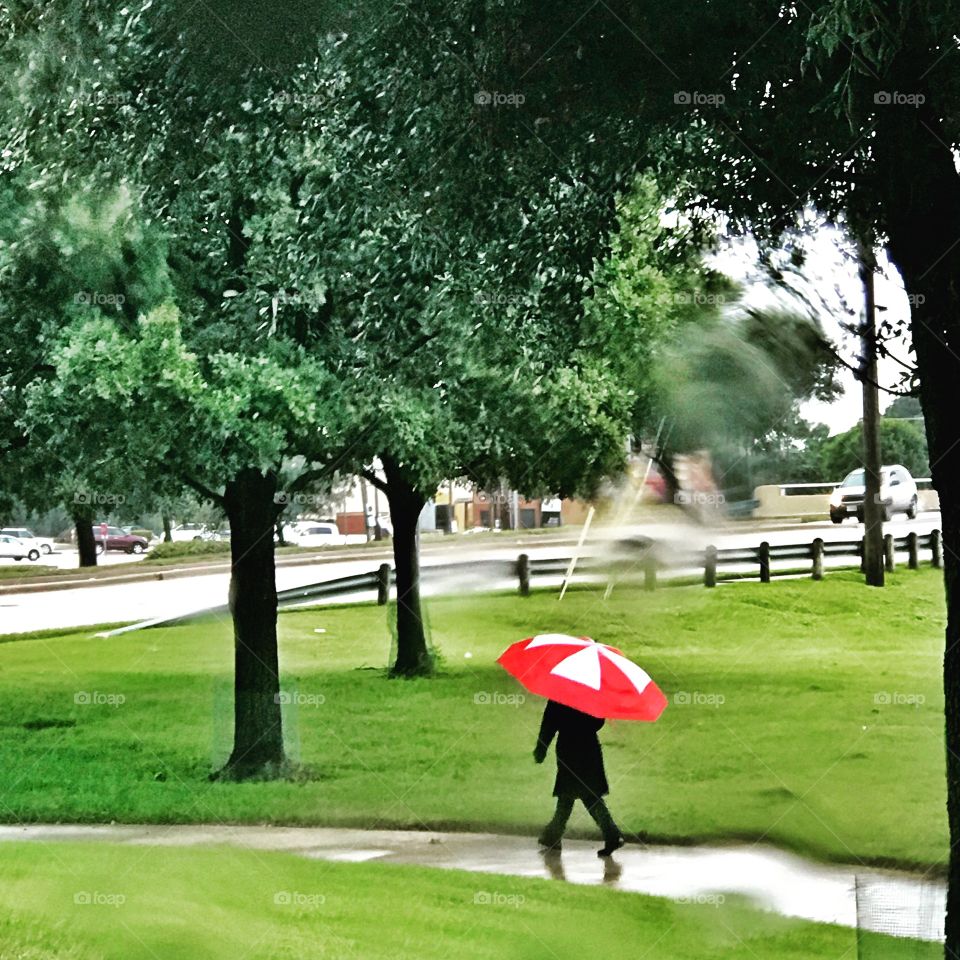 Rain in Dallas 