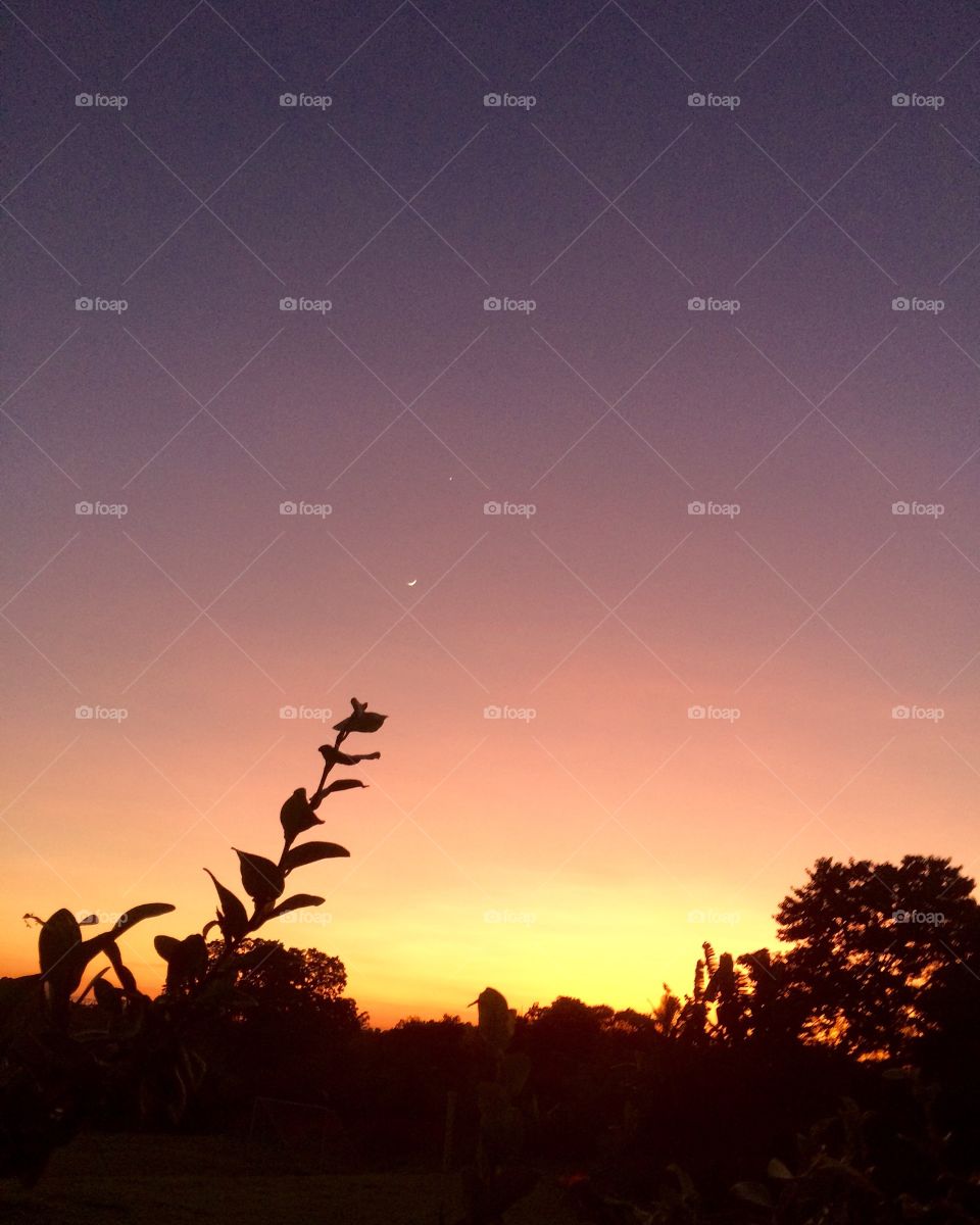 Um lindo #amanhecer com o #céu colorido!
👏🏻
#paisagem
#natureza
#fotografia
#landscapes
#sky
#nature
#Brazil
#FoapAugust17
@rafaelporcari @foap #foap 