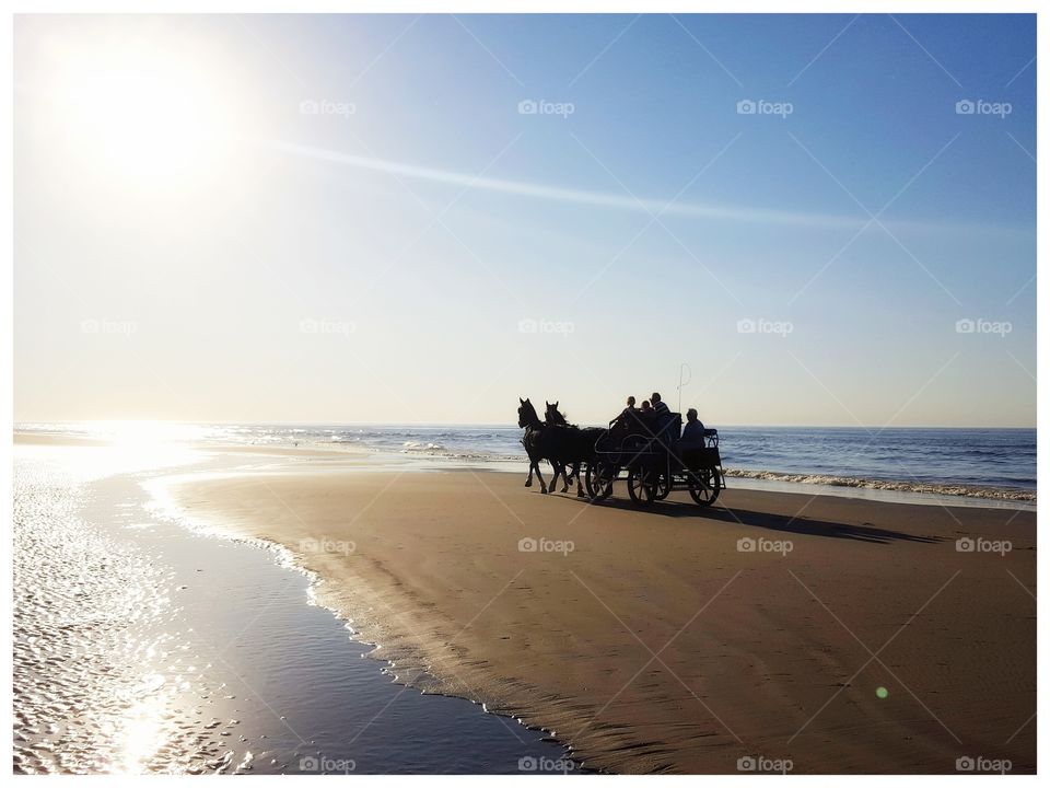 Horse and carriage riding into the sunset!