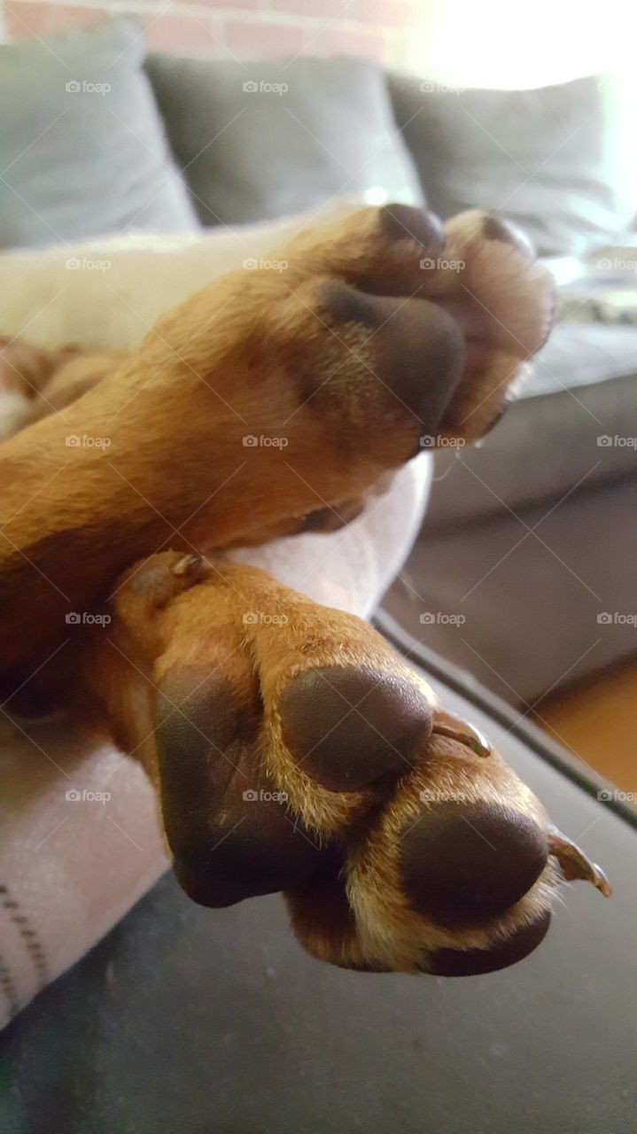 Beautiful macro shots