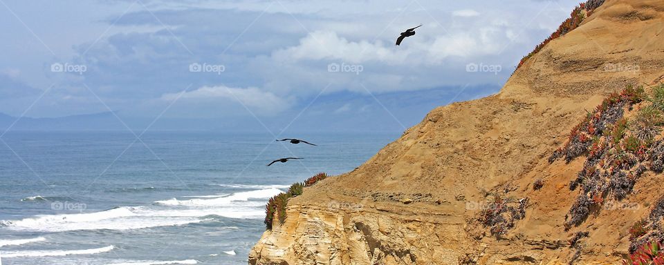Vista with birds flying off the coast of California / mountains and clouds