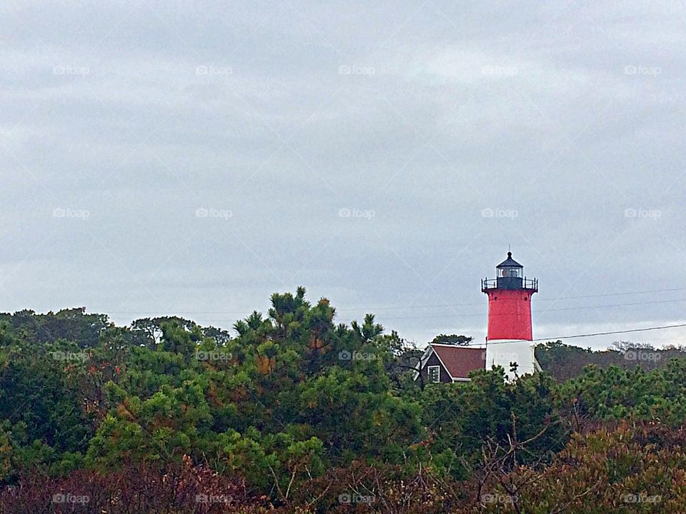 Cape Cod Lighthouses 