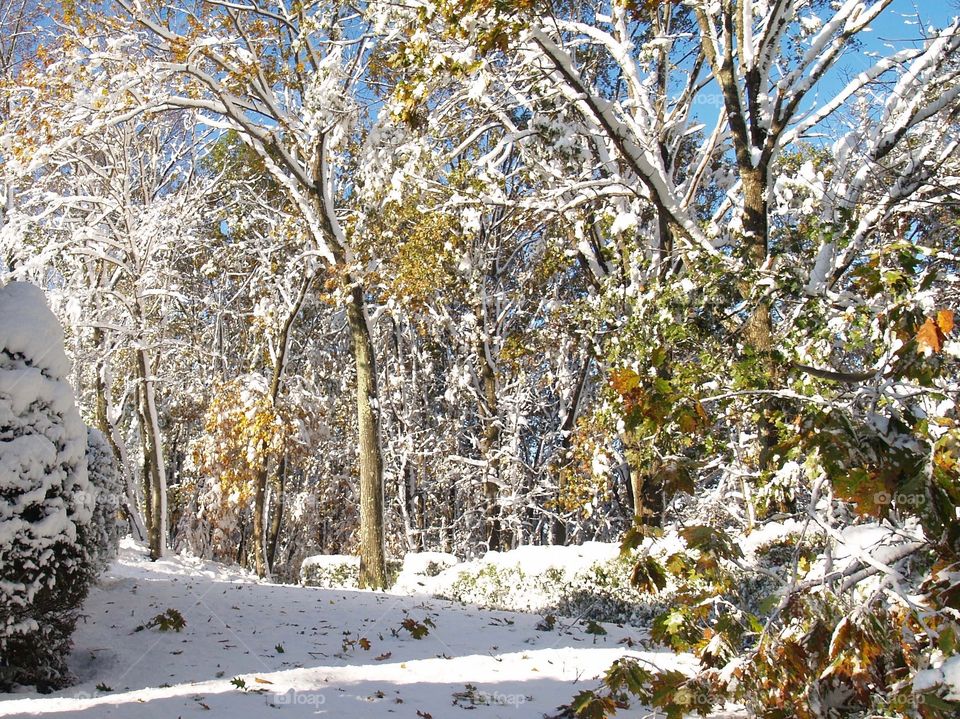 First snow