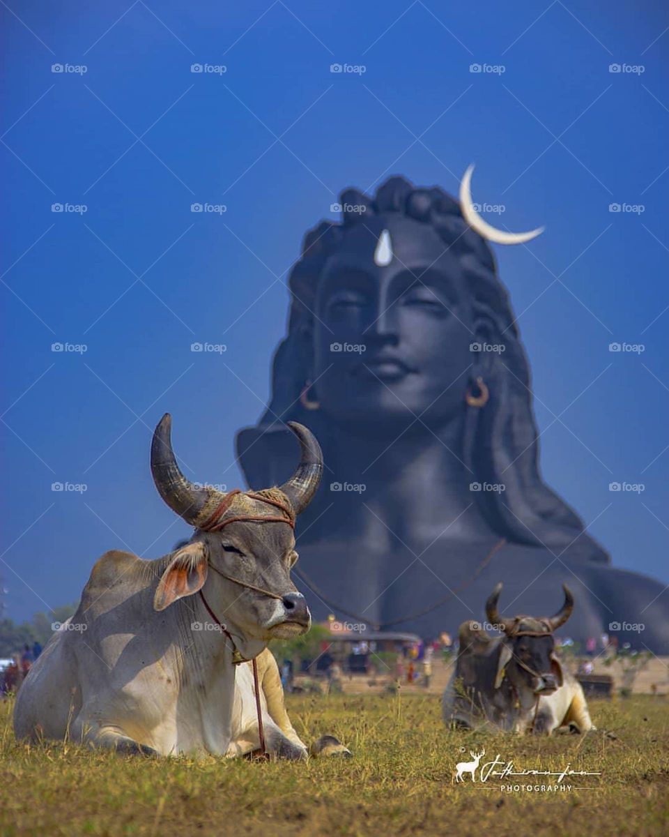 Lord Siva # Big statue #  Tamil Nadu
