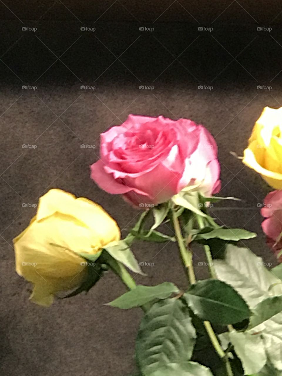 Bouquet rose flower