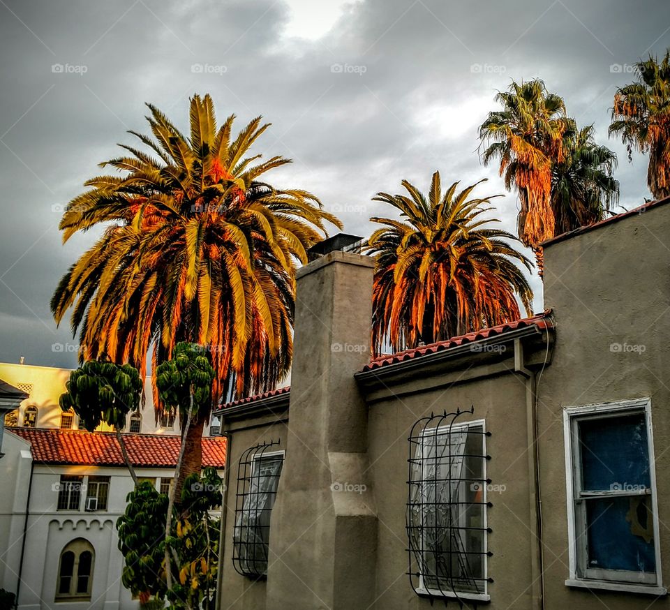 Grey Skies - Los Angeles