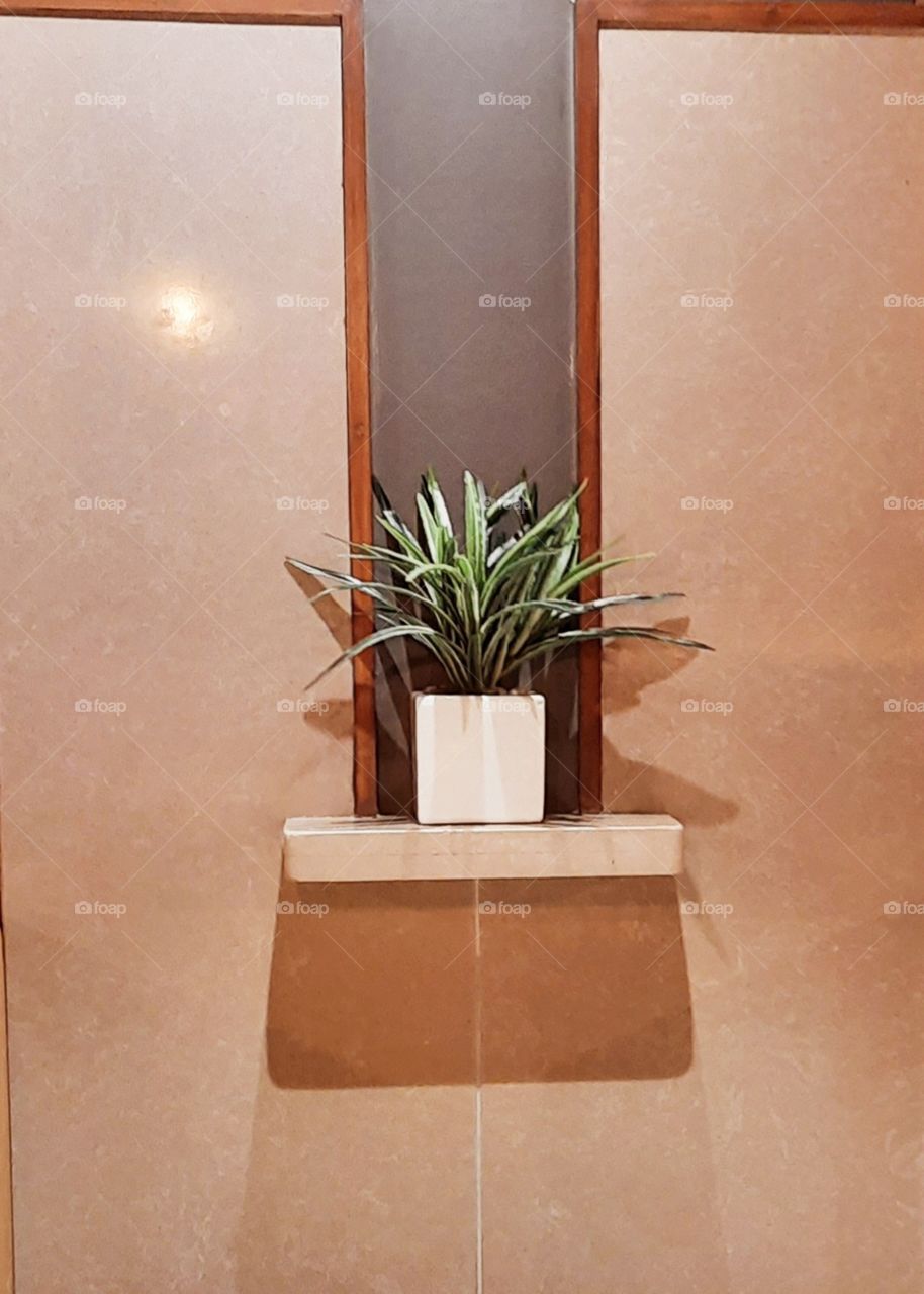 decoration with small  shrub