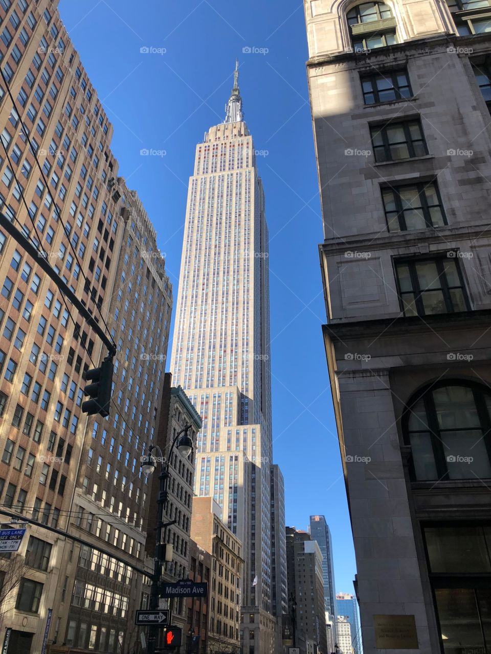 The one the only Empire State Building , looking tall and mighty 