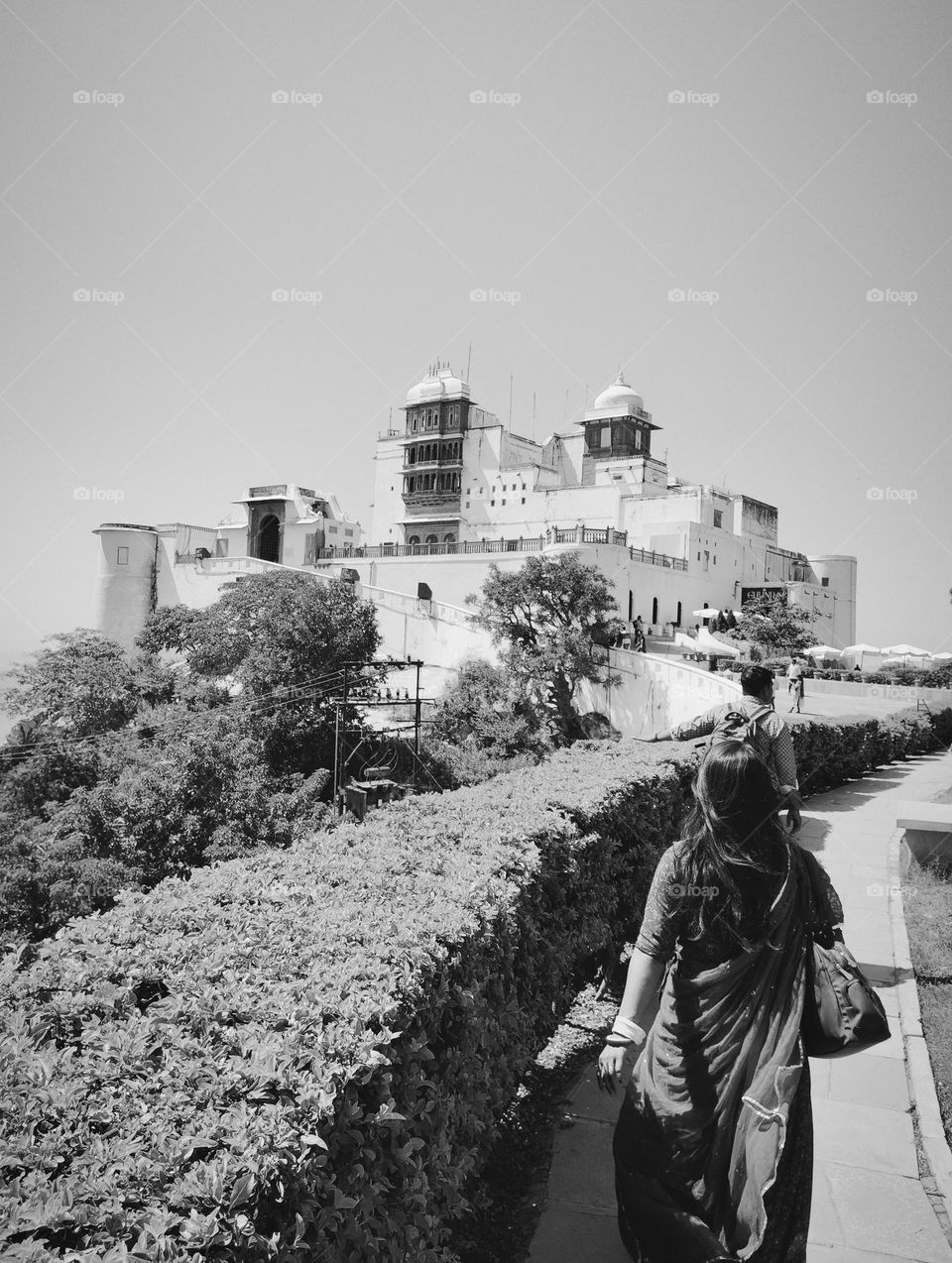 a restaurant near old historical place, very high distance from land, green plant shurb small size looks very beautiful