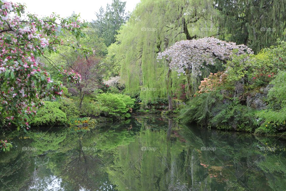 Little lake in the parc 