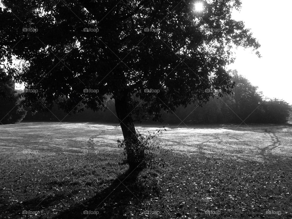 Crisp morning in Brighton. Lovely quiet science first thing in the morning
