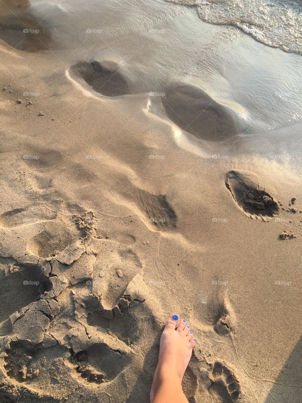 Footprints in the sand