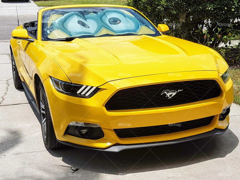 Cars Ford Mustang