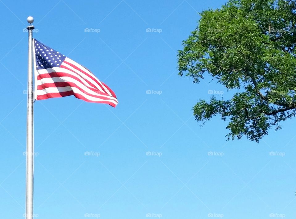 Sunny Stars and Stripes