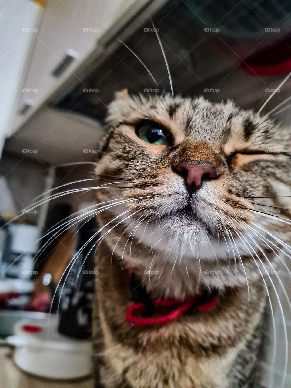 I have something in my eyes