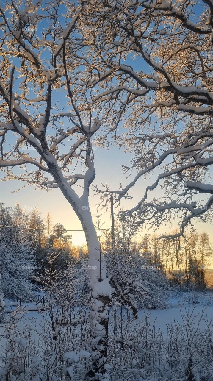 The short light of a winter day