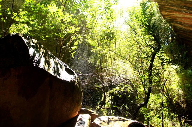 hiking trail