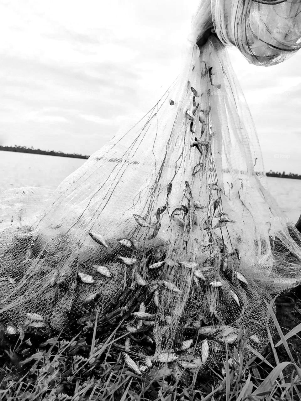 Fishing Net