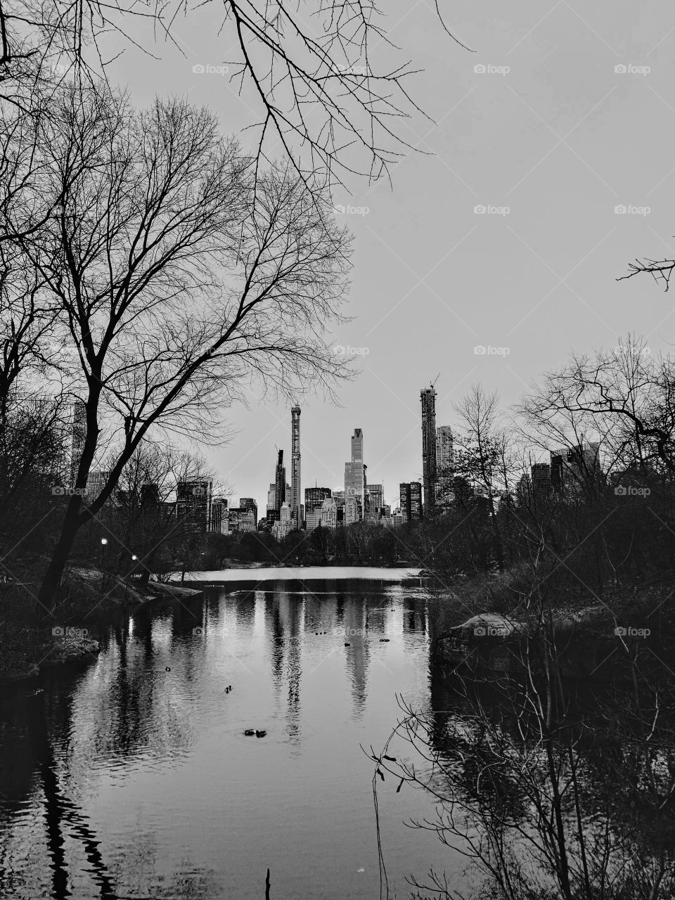 Reflections at Central Park