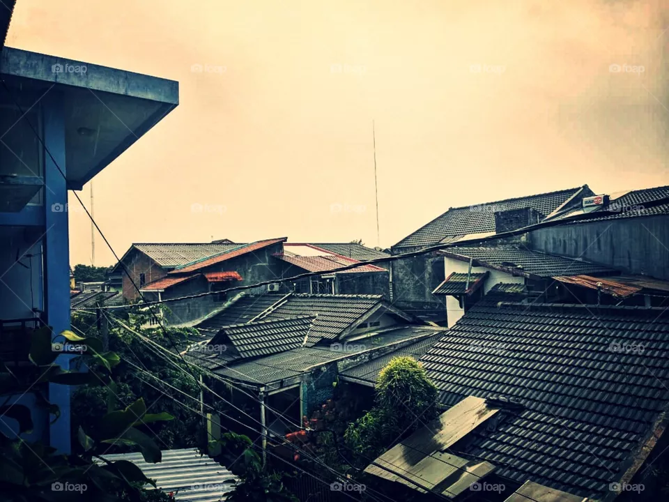 Roof