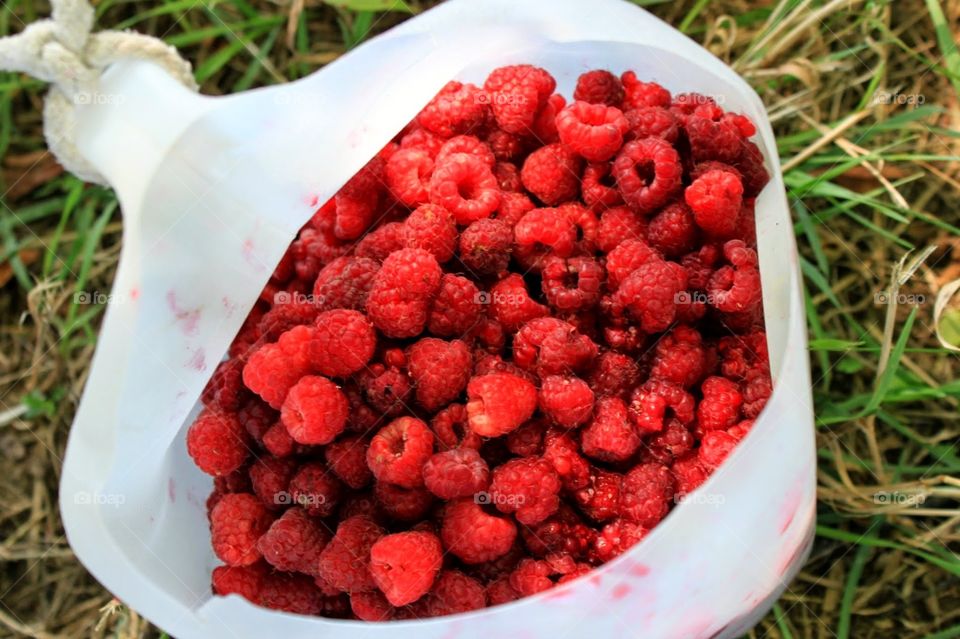 raspberries