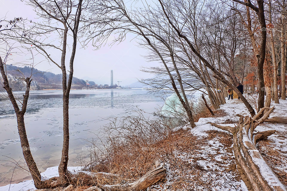 View of snowy landscape