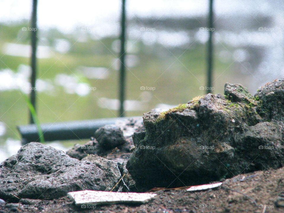 Close-up view of some rocks covered with moss, located near an iron fence with a blurred background