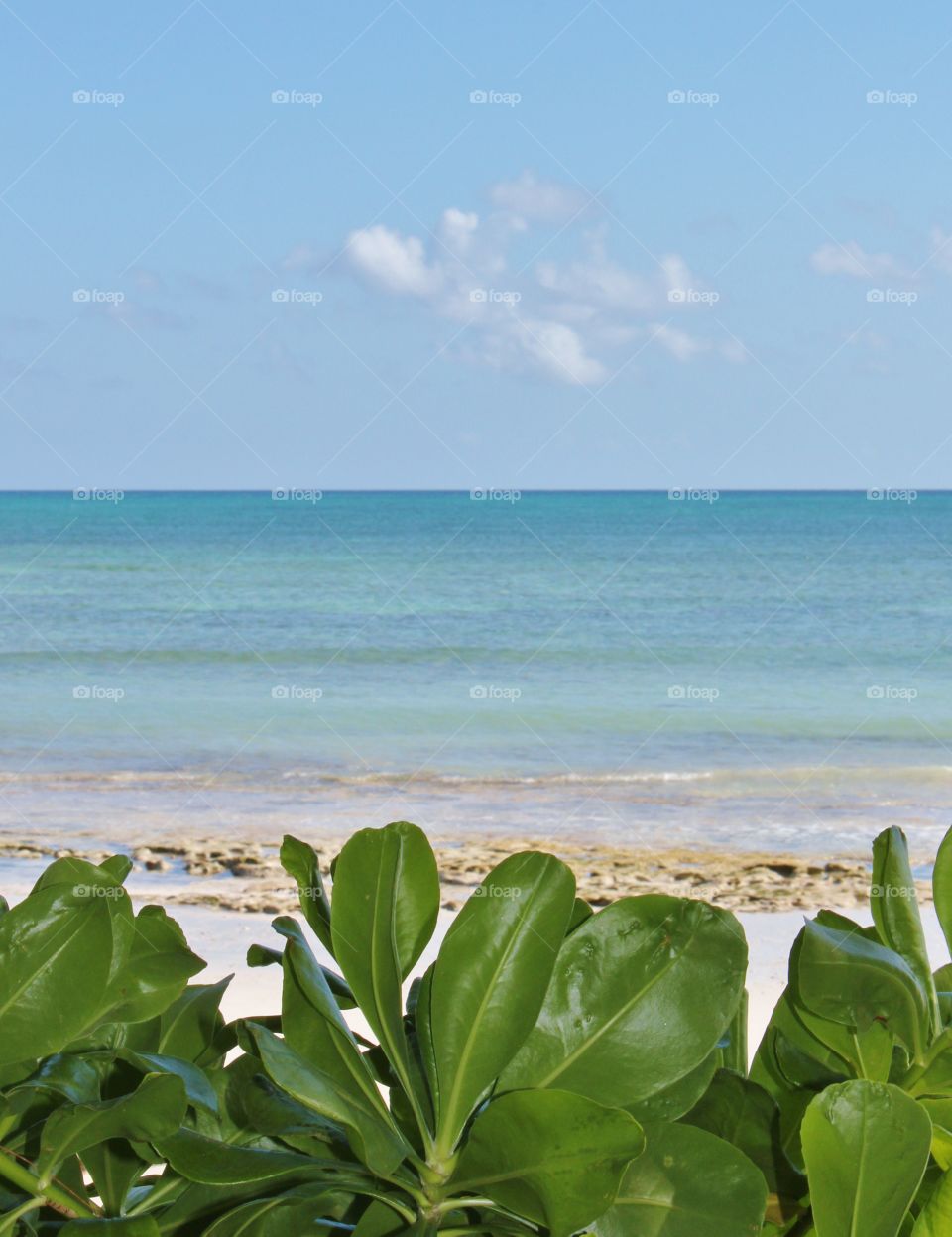 Amazing Beachview at Lowtide