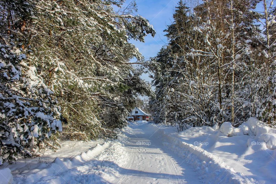 The road through the winter forest to the village house.