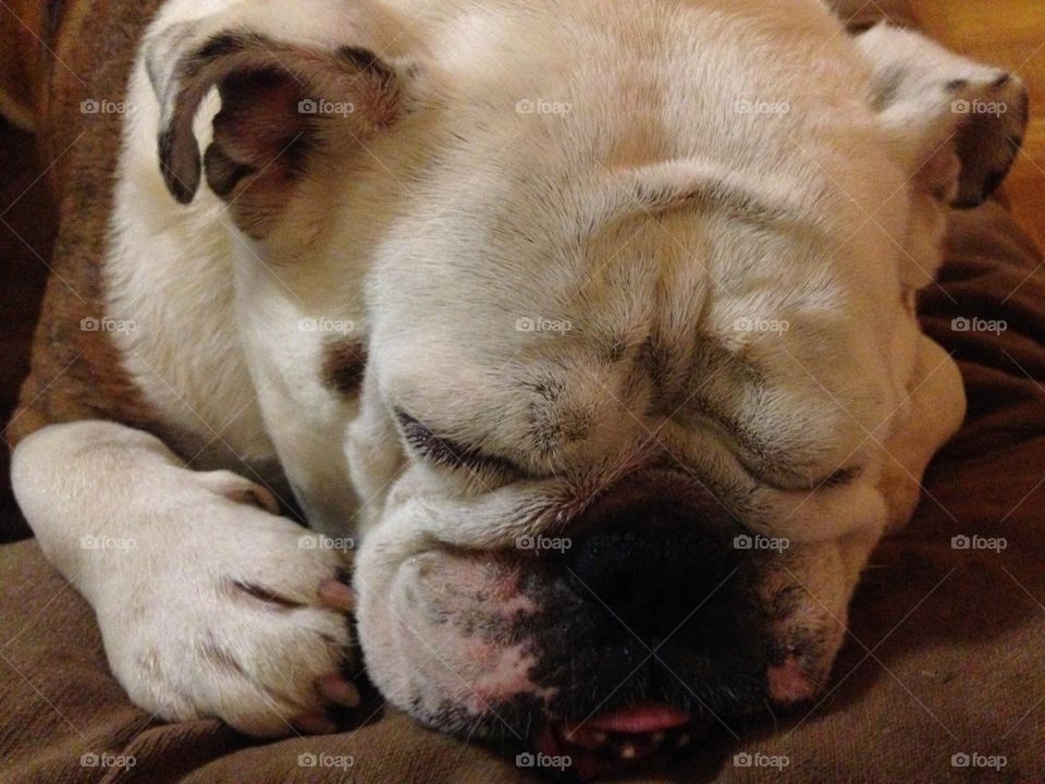 Sleeping on soft things feels so good...
