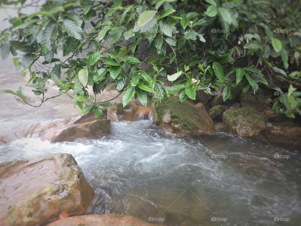 River Flowing touching green leaf