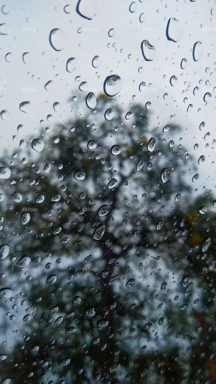 raindrops during the day, feels beautiful.