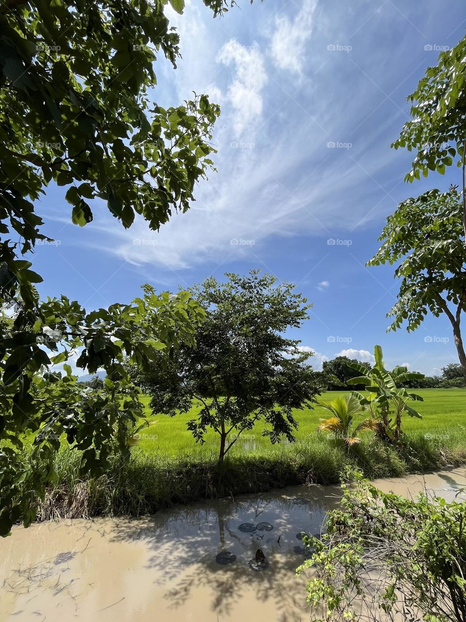 Editors ‘ choice : Photo of the week, Countryside.