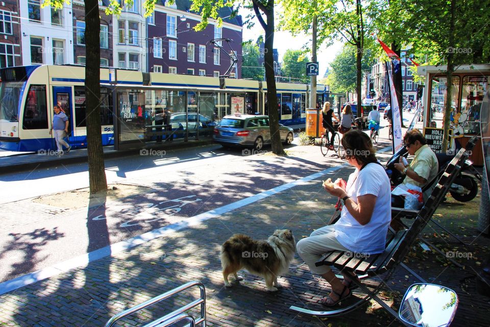 Amsterdam Streets