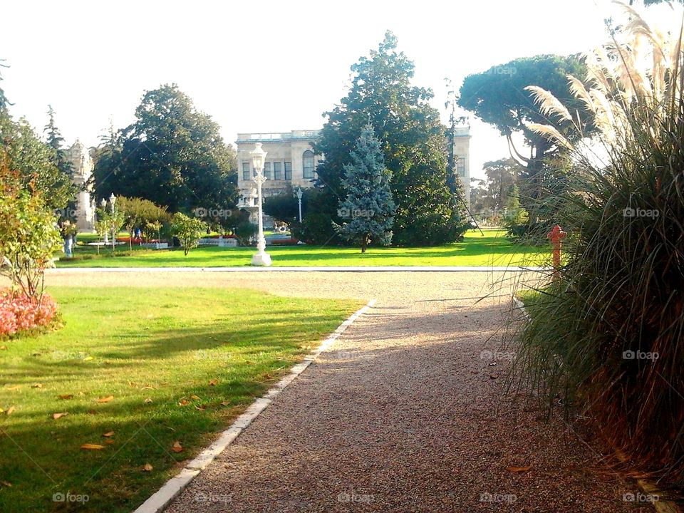 dolmabahçe palace garden