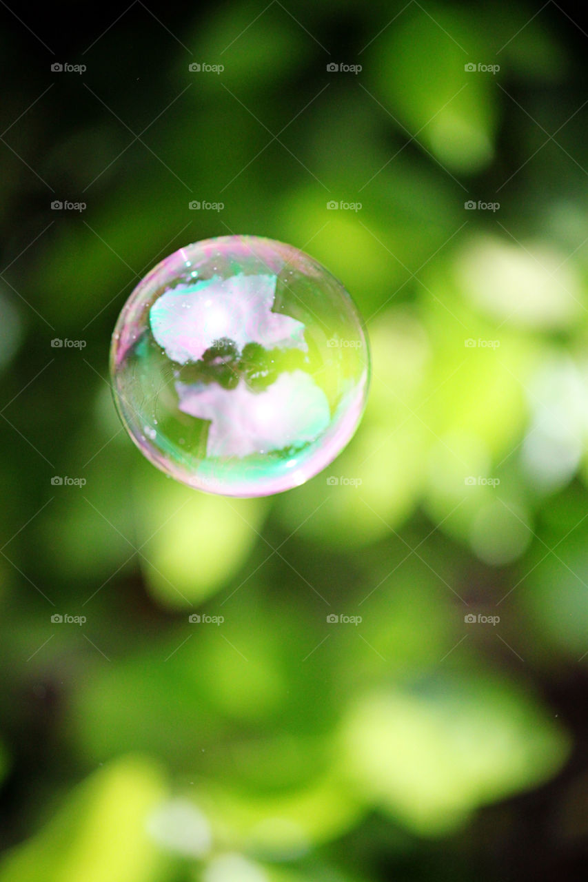 Close-up of bubble