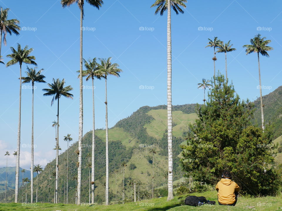 Man listening to music among wax palm trees in Cocora Valley in Colombia