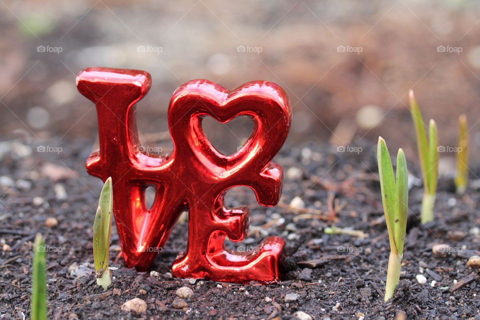 love for gardening